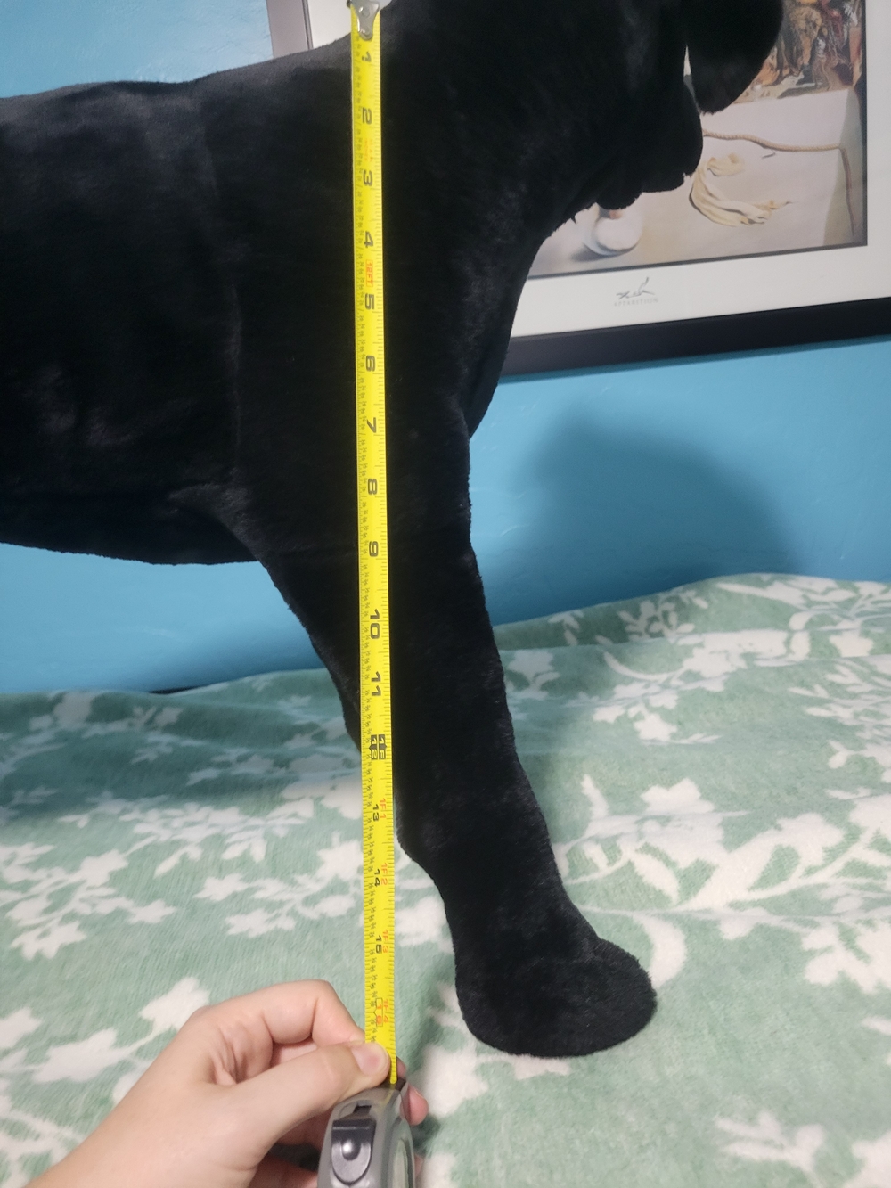 Black Plush Dog Toy - Soft Pet Plushie - Picture 6 of 15